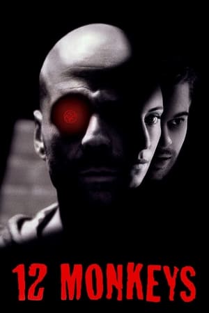 12 Monkeys (1995) Hindi Dual Audio 720p BluRay [1GB]