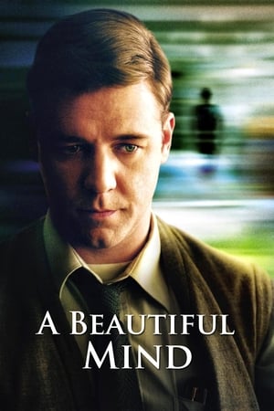 A Beautiful Mind 2001 Hindi Dual Audio 720p BluRay [1.2GB]