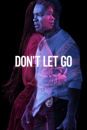 Don’t Let Go (2019) Hindi Dual Audio 480p HDRip 350MB