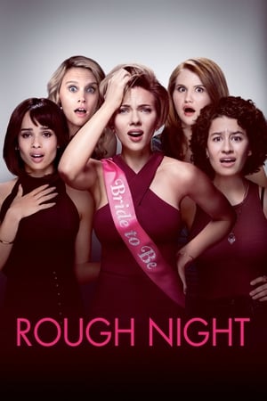 Rough Night (2017) Hindi Dual Audio 480p BluRay 400MB