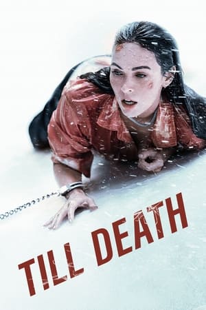 Till Death (2021) Hindi Dual Audio 720p HDRip [750MB]