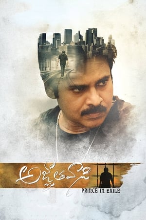 Yevadu 3 (Agnyaathavaasi) 2018 Dual Audio Hindi 480p UnCut HDRip 450MB